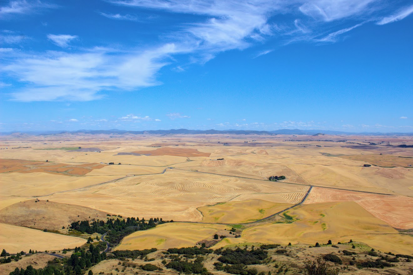 Hay Landscape